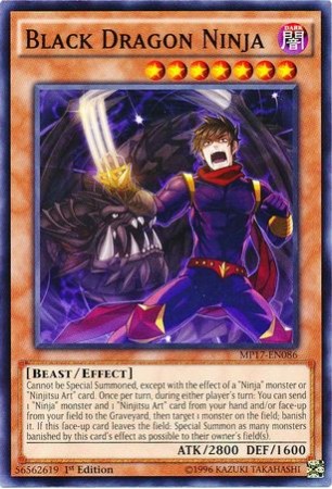 Black Dragon Ninja - MP17-EN086 - Common