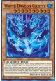 Water Dragon Cluster - LEDU-EN036 - Super Rare