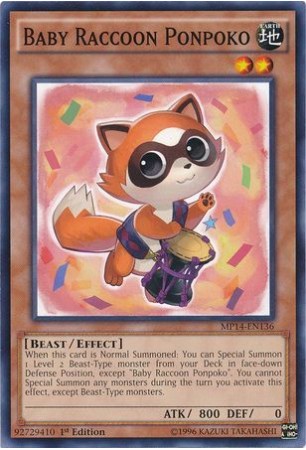 Baby Raccoon Ponpoko - MP14-EN136 - Common