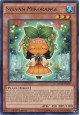 Sylvan Mikorange - MP14-EN238 - Rare