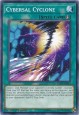 Cybersal Cyclone - FLOD-EN053 - Common