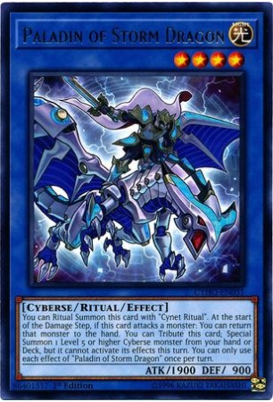 Paladin of Storm Dragon - CYHO-EN031 - Rare