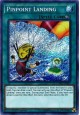 Pinpoint Landing - CYHO-EN081 - Secret Rare