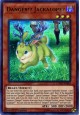 Danger!? Jackalope? - CYHO-EN085 - Ultra Rare