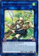 Wynn the Wind Charmer, Verdant - RIRA-EN046 - Rare