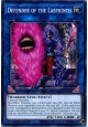 Defender of the Labyrinth - RIRA-EN049 - Common