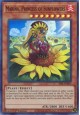 Mariña, Princess of Sunflowers - SESL-EN053 - Super Rare