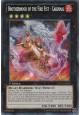 Brotherhood of the Fire Fist - Cardinal - LTGY-EN054 - Secret Rare