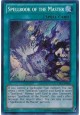 Spellbook of the Master - CBLZ-EN062 - Secret Rare