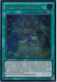 Spellbook of Fate - ABYR-EN059 - Ultimate Rare