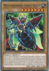 Metamorphosed Insect Queen - LDS1-EN072 - Common