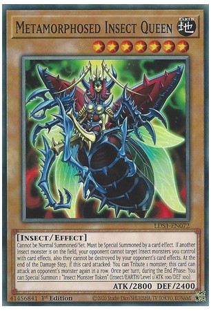 Metamorphosed Insect Queen - LDS1-EN072 - Common