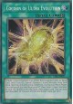 Cocoon of Ultra Evolution - LDS1-EN073 - Secret Rare