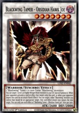 Blackwing Tamer - Obsidian Hawk Joe - LDS2-EN042 - Common