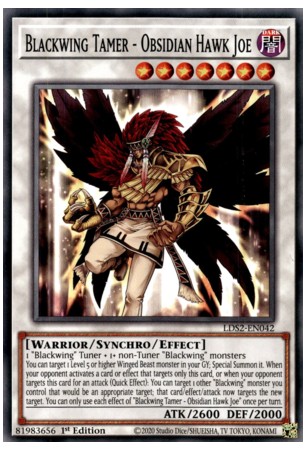 Blackwing Tamer - Obsidian Hawk Joe - LDS2-EN042 - Common