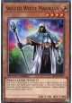 Skilled White Magician - SBCB-EN007 - Common