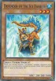 Defender of the Ice Barrier - SDFC-EN009 - Common