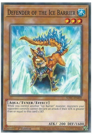 Defender of the Ice Barrier - SDFC-EN009 - Common