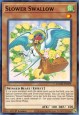 Slower Swallow - DAMA-EN029 - Common