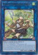 Wynn the Wind Charmer, Verdant - MGED-EN120 - Rare