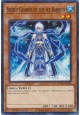 Secret Guards of the Ice Barrier - HAC1-EN048 - Common