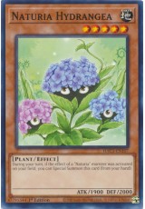 Naturia Hydrangea - HAC1-EN107 - Common