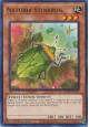 Naturia Stinkbug - HAC1-EN112 - Common