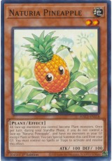 Naturia Pineapple - HAC1-EN118 - Common