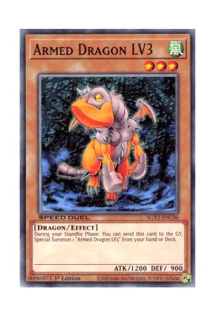 Armed Dragon LV3 - SGX1-ENC06 - Common