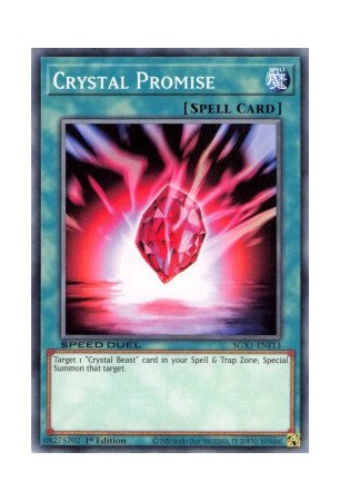 Crystal Promise - SGX1-ENF13 - Common