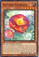 Naturia Camellia - DABL-EN021 - Common