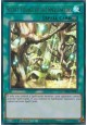 Secret Village of the Spellcasters - MAMA-EN083 - Ultra Rare