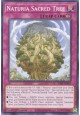 Naturia Sacred Tree - SDBT-EN037 - Common