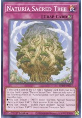 Naturia Sacred Tree - SDBT-EN037 - Common