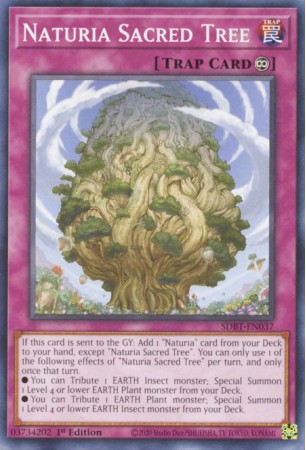 Naturia Sacred Tree - SDBT-EN037 - Common