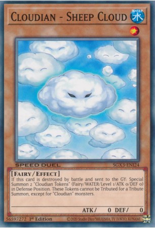 Cloudian - Sheep Cloud - SGX3-ENI24 - Common