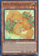 Kittytail, Mystical Beast of the Forest - CYAC-EN096 - Super Rare