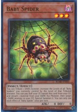 Baby Spider - BLMR-EN045 - Ultra Rare