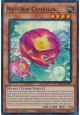 Naturia Camellia - MP23-EN171 - Super Rare