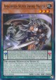 Amazoness Silver Sword Master - MP23-EN220 - Common