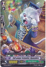 Full-power Scientist, Nyanshiro - G-BT02/082EN - C