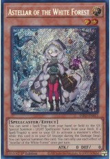 Astellar of the White Forest - INFO-EN013 - Secret Rare