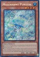 Mulcharmy Purulia - INFO-EN027 - Secret Rare