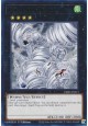 Tornado Dragon - CRBR-EN013 - Rare