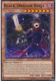 Black Dragon Ninja - TDIL-EN036 - Common