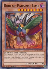 Bird of Paradise Lost - MP16-EN072 - Common