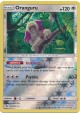 Oranguru - SM01/113 - Rare Holo (Reverse Holo)