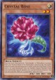 Crystal Rose - SP17-EN021 - Common