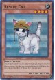 Rescue Cat - DUSA-EN072 - Ultra Rare